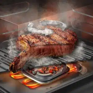 Vista interna de las Cecofry Smokin con ahumador para dar un toque BBQ a las carnes